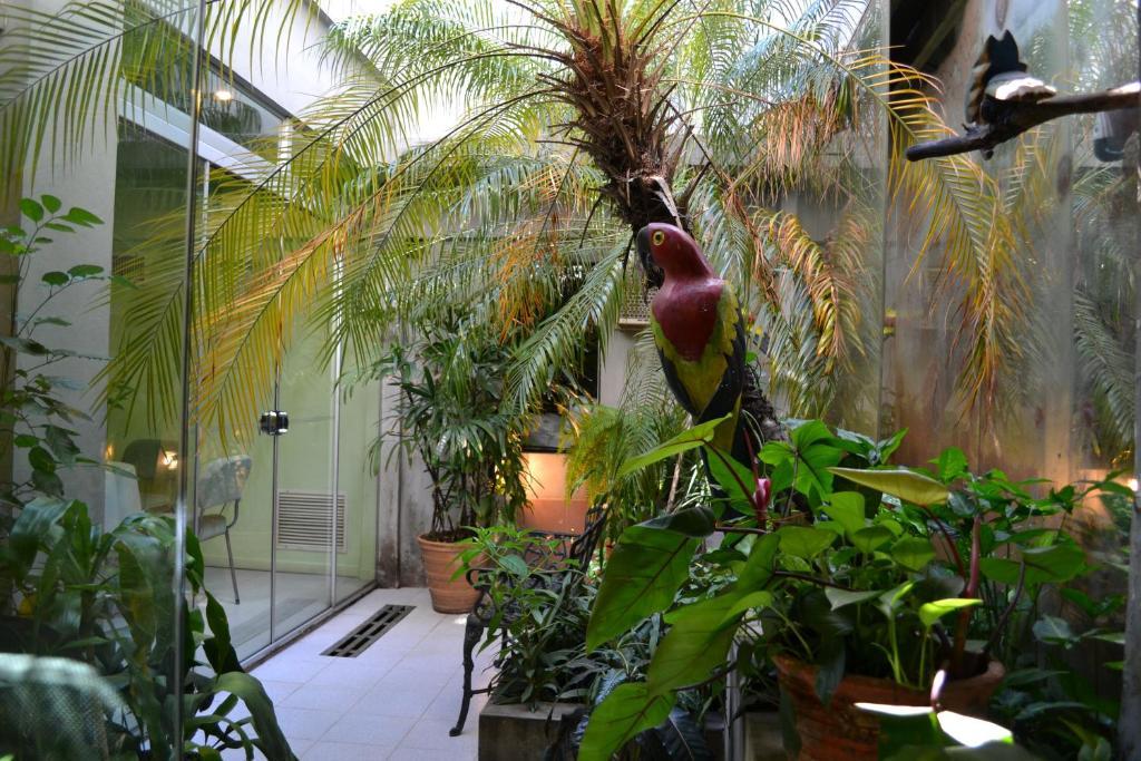 Hotel Amalfi Asuncion Dış mekan fotoğraf