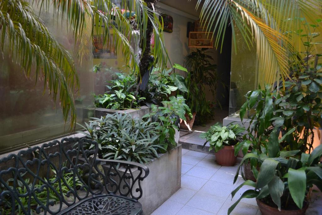 Hotel Amalfi Asuncion Dış mekan fotoğraf