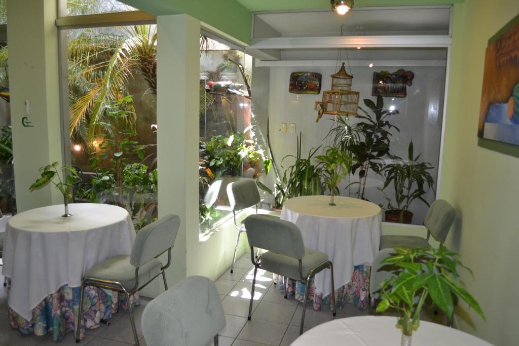 Hotel Amalfi Asuncion Dış mekan fotoğraf